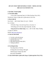 Đề xuất  phát triển mô hình cá nhân – nhóm làm việc hiệu quả tại tập đoàn VNG