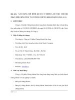 Dự án  xây dựng mô hình quản lý nhóm làm việc cho bộ phận môi giới, công ty cổ phần chứng khoán kim long 