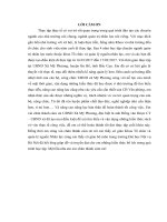 Thực trạng và giải pháp nâng cao chất lượng đội ngũ cán bộ công chức xã Mỹ Phương, huyện Ba Bể, tỉnh Bắc Cạn