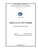 Phân tích tình hình tài chính tại công ty thép đan việt   
