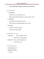 Giáo án Đại số 11 chương 1 bài 2: Phương trình lượng giác cơ bản