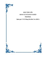 ĐỊNH GIÁ DOANH NGHIỆP  CTCP Đông Hải Bến Tre