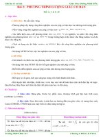 Giáo án Đại số 11 chương 1 bài 2: Phương trình lượng giác cơ bản