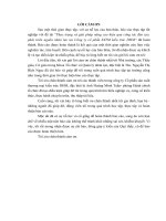 Thực trạng và giải pháp nâng cao hiệu quả công tác đào tạo, phát triển nguồn nhân lực tại Công ty cổ phần SXTM kiến trúc DHM