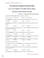 111 câu ĐỒNG NGHĨA PHẢI học   NGUYỄN TIẾN VINH 