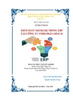 Báo Cáo Thực Tập Kiểm Soát Nội Bộ Hệ Thống ERP