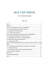 Một số giải pháp nhằm nâng cao năng lực tài chính của công ty cổ phần bibica 