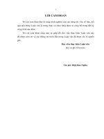 Các nhân tố ảnh hưởng đến sự hài lòng của khách hàng sử dụng dịch vụ ngân hàng điện tử tại ngân hàng TMCP nam á 