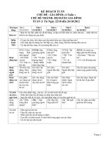 Kế hoạch hoạt động tuần chủ đề gia đình chủ đề nhánh họ hàng gia đình 