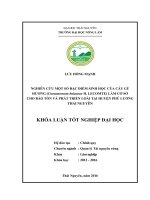 Nghiên cứu một số đặc điểm sinh học loài cây Gù hương Cinnamomum balansae H. Lecomte) làm cơ sở cho bảo tồn và phát triển loài tại huyện Phú Lương  tỉnh Thái Nguyên (Khóa luận tốt nghiệp)