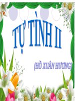 Ngữ văn 11: Tự tình ( bài II )