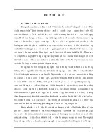 Đánh giá tình hình sản xuất rau an toàn tại xã hưng đông  thành phố vinh  nghệ an 