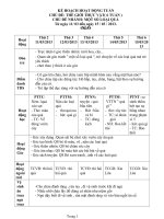 Kế hoạch hoạt động tuần chủ đề thế giới thực vật chủ đề nhánh một số loại quả 