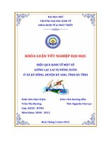 Hiệu quả kinh tế một số giống lạc lai vụ đông xuân ở xã kỳ đồng, huyện kỳ anh, tỉnh hà tĩnh 