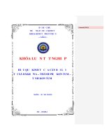 Hiệu quả kinh tế của cây bời lời tại xã đăkrơwa   thành phố kon tum   tỉnh kon tum 
