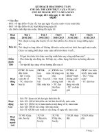 Kế hoạch hoạt động tuần chủ đề thế giới thực vật chủ đề nhánh tết và mùa xuân 