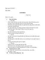 Giáo án ngữ văn 11: Chí Phèo