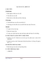 Giáo án Đại số 11 chương 2 bài 5: Xác suất của biến cố