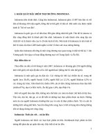 Kinh doanh mì nấm chay tại thị trường indonesia