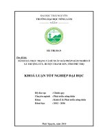 Đánh giá thực trạng và đề xuất giải pháp giảm nghèo ở xã Thượng Cửu  huyện Thanh Sơn  tỉnh Phú Thọ. (Khóa luận tốt nghiệp)