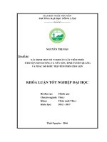 Xác định một số vi khuẩn gây viêm phổi ở huyện Sơn Dương và Yên Sơn, tỉnh Tuyên Quang và phác đồ điều trị viêm phổi cho lợn. (Khóa luận tốt nghiệp)