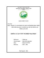 Thực trạng và giải pháp xây dựng mô hình nông thôn mới trên địa bàn xã Đình Lập  huyện Đình Lập  tỉnh Lạng Sơn. (Khóa luận tốt nghiệp)