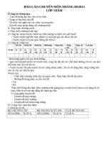 Báo cáo chuyên môn tháng trường mầm non 