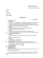 Giáo án ngữ văn 11: Vội vàng