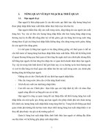 Tiểu luận tổng quan về hạn ngạch và thuế quan 