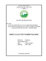 Tỷ lệ mắc bệnh viêm tử cung và biện pháp trị bệnh ở đàn lợn nái tại trại lợn của công ty TNHH Lý Yên Bình  xã Đoàn Kết  huyện Yên Thủy  tỉnh Hòa Bình. (Khóa luận tốt nghiệp)