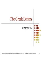 Fundamentals of Futures and Options Markets, 7th Ed, Ch 17