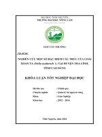 Nghiên cứu đặc điểm cấu trúc quần thể loài Xoan ta (Melia azedarach l.) tại huyện Trà Lĩnh  tỉnh Cao Bằng. (Khóa luận tốt nghiệp)