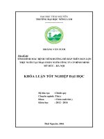 Tình hình mắc bệnh viêm đường hô hấp trên đàn lợn thịt nuôi tại trại Chăn nuôi Công ty CP Bình Minh  huyện Mỹ Đức  Hà Nội. (Khóa luận tốt nghiệp)