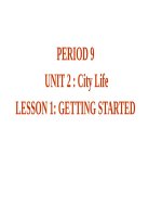 English 9: Unit 2: City life