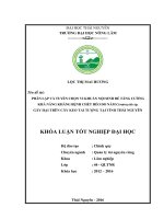 Phân lập và tuyển chọn vi khuẩn nội sinh để tăng cường khả năng kháng bệnh chết héo do nấm Ceratocystis sp. gây hại trên cây keo tai tượng tại tỉnh Thái Nguyên. (Khóa luận tốt nghiệp)