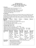 THẾ GIỚI THỰC vật tết và mùa xuân của bé 