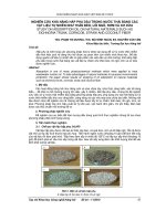 NGHIÊN CỨU KHẢ NĂNG HẤP PHỤ DẦU TRONG NƯỚC THẢI BẰNG  CÁC VẬT LIỆU TỰ NHIÊN NHƯ THÂN BÈO, LÕI NGÔ, RƠM VÀ XƠ DỪA