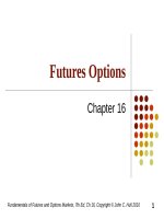Fundamentals of Futures and Options Markets, 7th Ed, Ch 16