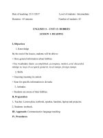 Giáo án tiếng Anh 11:Unit 13: hobbies