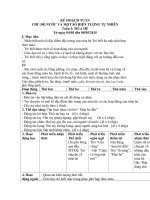 Kế hoạch bồi dưỡng thường xuyên của giáo viên mầm non 