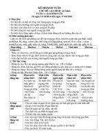 Chủ điểm gia đình lớp 3 tuổi 