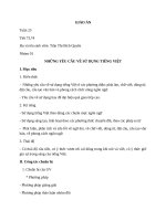 Giáo án ngữ văn 11: Những yêu cầu về sử dụng tiếng việt