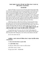 THỰC TRẠNG VĂN HÓA TỔ CHỨC TẠI TỔNG CÔNG TY DỊCH VỤ VIỄN THÔNG (VINAPHONE)