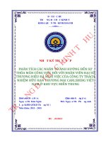 Phân tích các nhân tố ảnh hưởng đến sự thỏa mãn công việc đối với nhân viên đại sứ thương hiệu đã nghỉ việc của công ty trách nhiệm hữu hạn thương mại carlsberg việt nam ở khu vực miền trung 