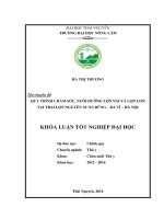 Quy trình chăm sóc, nuôi dưỡng lợn nái và lợn con tại trại lợn Nguyễn Xuân Dũng –Ba Vì – Hà Nội. (Khóa luận tốt nghiệp)