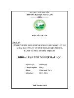 Tình hình mắc một số bệnh sinh sản trên đàn lợn nái ngoại tại công ty CP Bình Minh, huyện Mỹ Đức  Hà Nội và phác đồ điều trị bệnh. (Khóa luận tốt nghiệp)