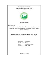 Quá trình chăm sóc nuôi dưỡng đàn lợn nái sinh sản tại công ty CP Bùi Huy Hạnh, xã Tái Sơn  huyện Tứ Kỳ  tỉnh Hải Dương. (Khóa luận tốt nghiệp)