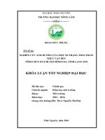 Nghiên cứu ảnh hưởng của một số trạng thái thảm thực vật đến tính chất đất huyện Bình Gia  tỉnh Lạng Sơn. (Khóa luận tốt nghiệp)