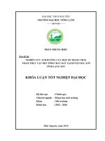 Nghiên cứu ảnh hưởng của một số trạng thái thảm thực vật đến tính chất đất tại huyện Bắc Sơn  tỉnh Lạng Sơn. (Khóa luận tốt nghiệp)