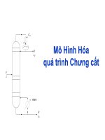 mô hình của quá trình chưng cất